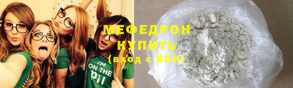 индика Богородицк