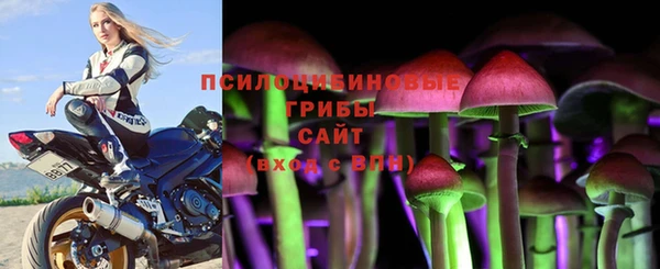стафф Богородск