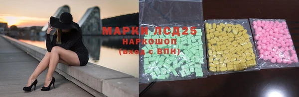 индика Богородицк