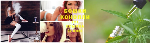 таблы Богданович
