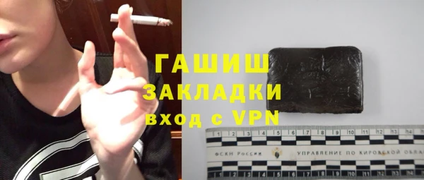 индика Богородицк