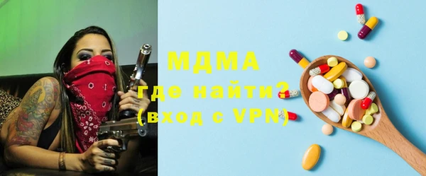 индика Богородицк