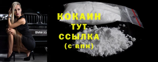 индика Богородицк