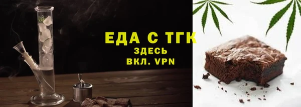 индика Богородицк