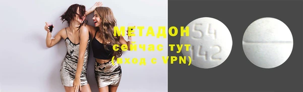 индика Богородицк