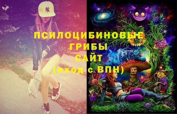 дживик Тавда