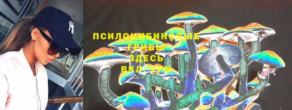 крисы Белокуриха