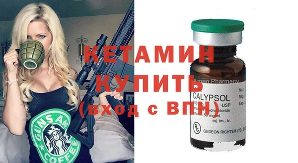 индика Богородицк