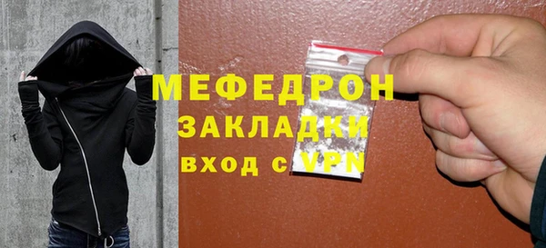 шишки Тайга