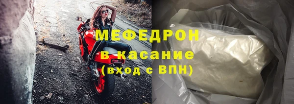 шишки Тайга