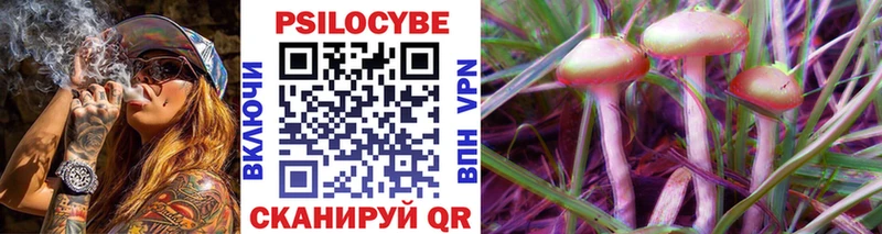 Псилоцибиновые грибы Psilocybine cubensis  Белоярский 